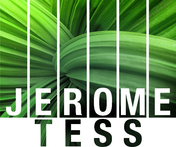 Jerome Tess